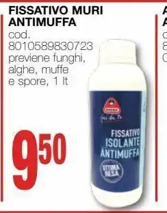 Mondo Brico Fissativo muri antimuffa offerta