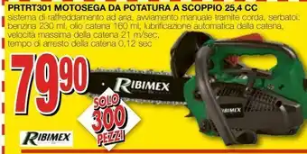 Mondo Brico Prtrt301 motosega da potatura a scoppio 25,4 cc offerta