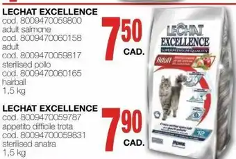 Mondo Brico Lechat excellence offerta