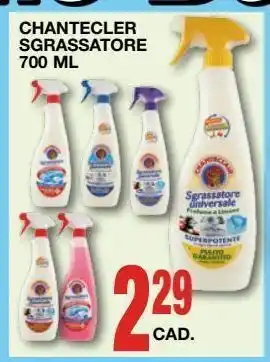 Mondo Brico Chantecler sgrassatore 700 ml offerta