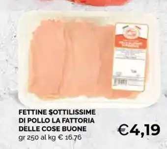 Mercatò Big Fettine Sottilissime di Pollo La Fattoria Delle Cose Buone 250 gr offerta