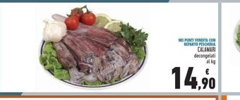 Conad Nei Punti Vendita Con Reparto Pescheria Calamari decongelati al kg offerta
