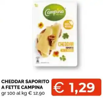 Campina Cheddar Saporito a Fette gr 100