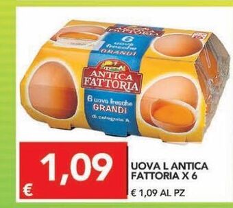 TuoDi Uova l'antica fattoria x 6 offerta