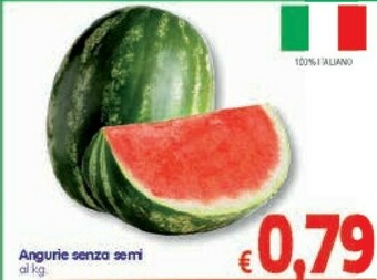 A&O Angurie Senza Semi offerta