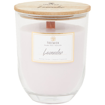 Action Candela profumata xl treewick offerta