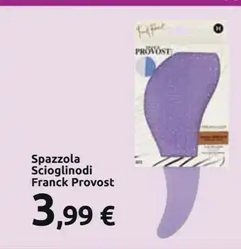 Carrefour Franck Provost Spazzola Scioglinodi offerta