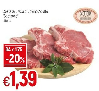 Famila Costata Con Osso Bovino Adulto Scottona offerta