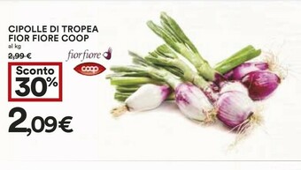Coop Cipolle Di Tropea offerta