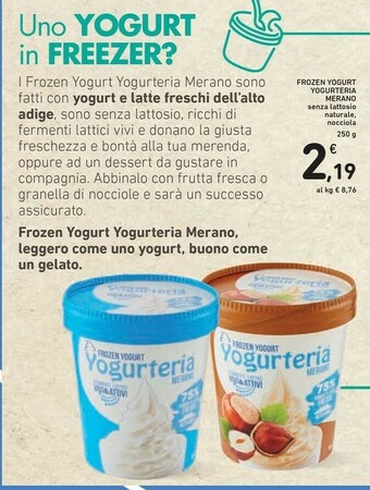 Conad Merano Gelato offerta
