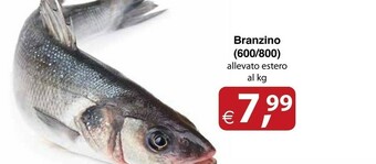 Docks Cash&Carry Branzino offerta