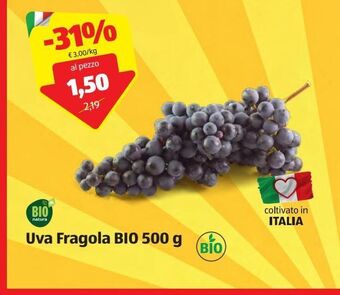 ALDI Uva fragola bio 500 g offerta