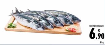 Conad Sgombri freschi offerta
