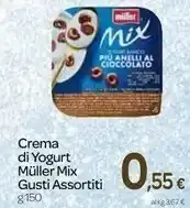 Carrefour Muller Muller - Crema di Yogurt offerta