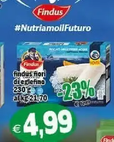 Il Castoro Supermercati Findus Pesce surgelato offerta