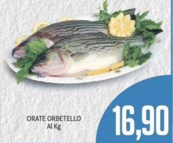 Supermercati Piccolo Orate Orbetello offerta