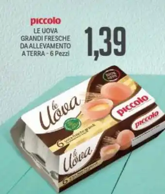 Supermercati Piccolo Piccolo Le Uova Grandi Fresche da allevamento a terra - 6 pezzi offerta