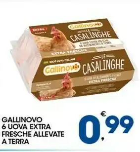 Sigma Gallinovo 6 Uova Extra Fresche Allevate A Terra offerta