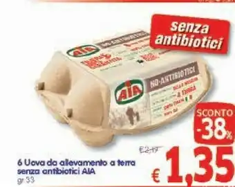 A&O Aia 6 Uova Da Allevamento A Terra Senza Antibiotici offerta