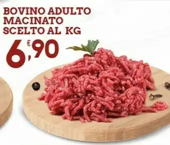 Sigma Bovino Adulto Macinato Scelto offerta