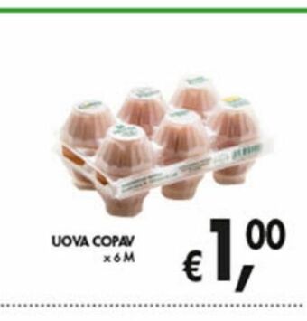 Supermercato Coal Uova copav offerta