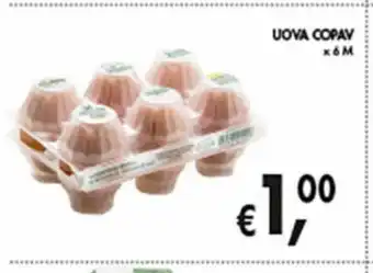 Uova copav x 6 m