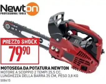 Ottimax Newton Motosega da potatura offerta