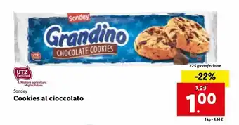 Lidl Cookies al cioccolato offerta
