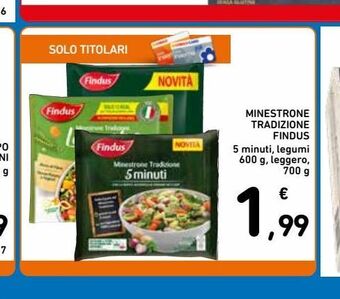 Minestrone tradizione findus