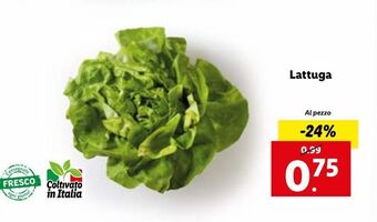 Lidl Lattuga offerta