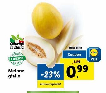Lidl Melone giallo offerta