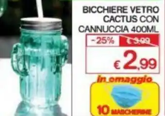Bicchiere Vetro Cactus con Cannuccia 400ml