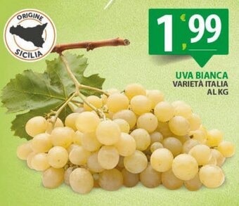 Sisa Uva Bianca offerta