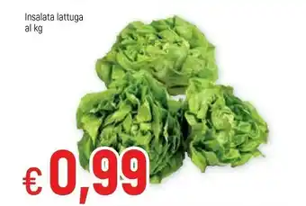 Famila Superstore Insalata Lattuga offerta