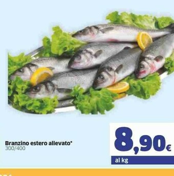 Branzino Estero Allevato