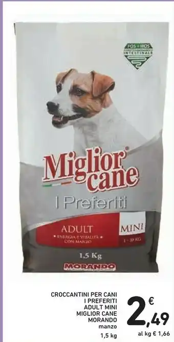 Conad Morando Cibo per cani offerta