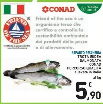 Conad Conad Trota Iridea Salmonata Percorso Qualita offerta