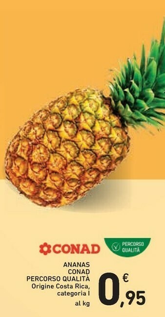 Conad Conad Ananas Percorso Qualita offerta