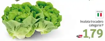 Maxi Supermercati Insalata trocadero offerta