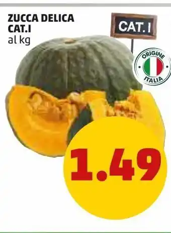 PENNY Zucca delica cat i offerta