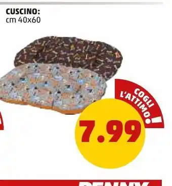 Cuscino