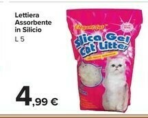 Carrefour Market Lettiera Assorbente In Silicio offerta