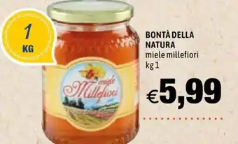 Bontà della Natura miele Millefiori 1 kg