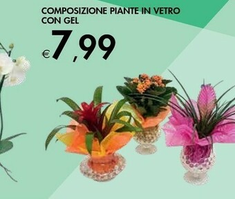 Bennet Composizione Piante In Vetro Con Gel offerta