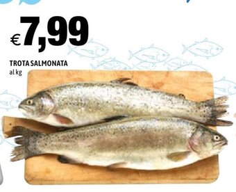 Hurrà Trota Salmonata offerta