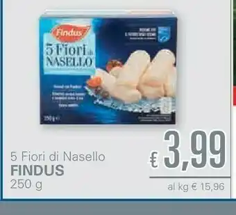 Unes Findus Nasello offerta