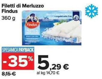 Carrefour Market Findus Filetti di Merluzzo 360 g offerta