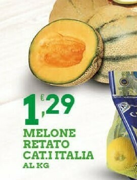 Sigma Melone Retato offerta