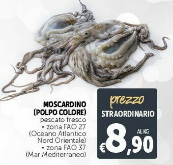Deco Supermercati Pesche offerta