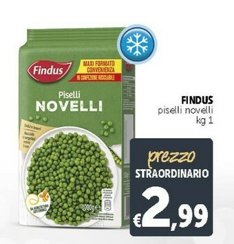 Deco Supermercati Findus Piselli offerta